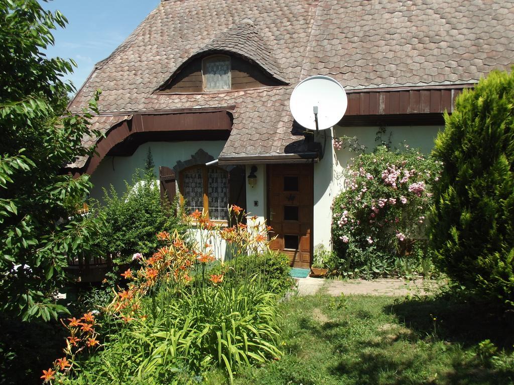 Apartment Panka House
